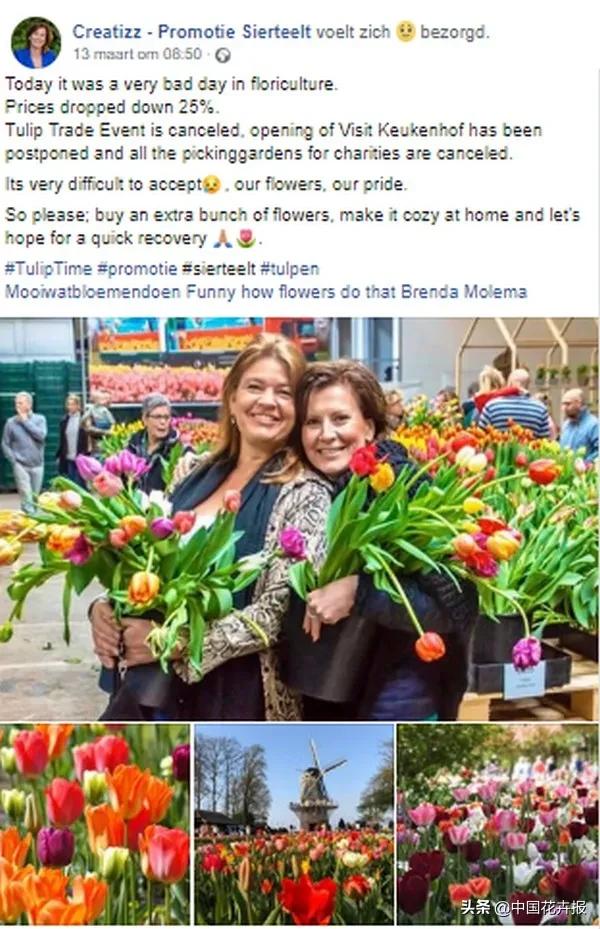 大量國際花展取消，眾多國家花企深陷困境
