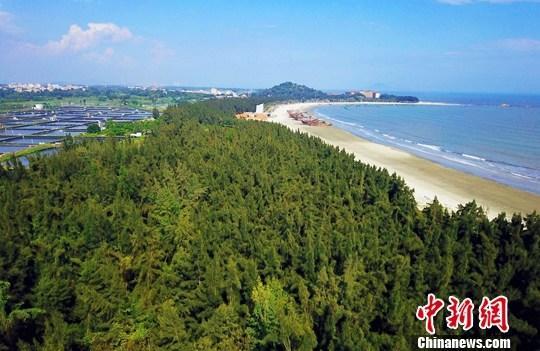 國辦：在防疫條件下積極有序推進春季造林綠化工作