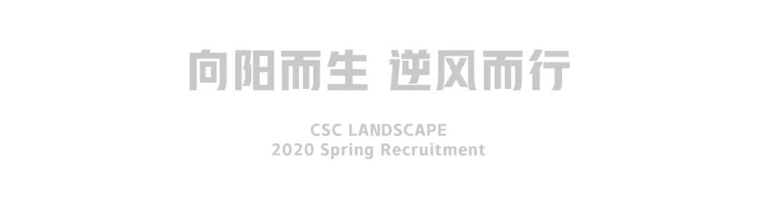 賽瑞景觀2020春季招聘