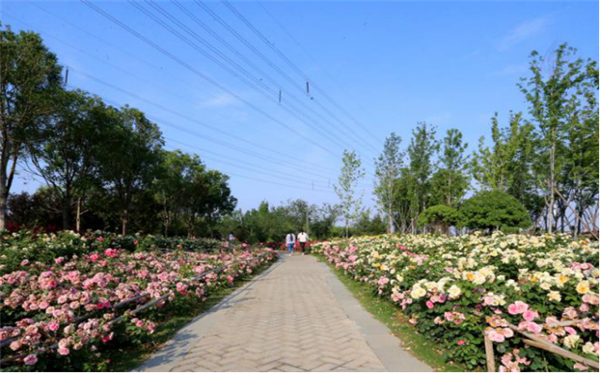 鄭港十路中央生態(tài)公園