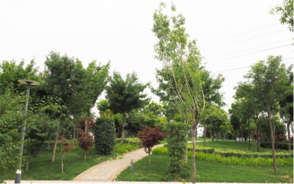 鄭港十路中央生態(tài)公園