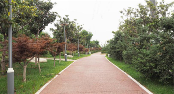 鄭港十路中央生態(tài)公園