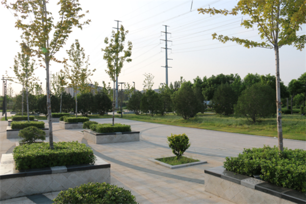 鄭港十路中央生態(tài)公園