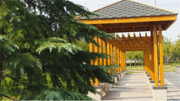 鄭港十路中央生態(tài)公園