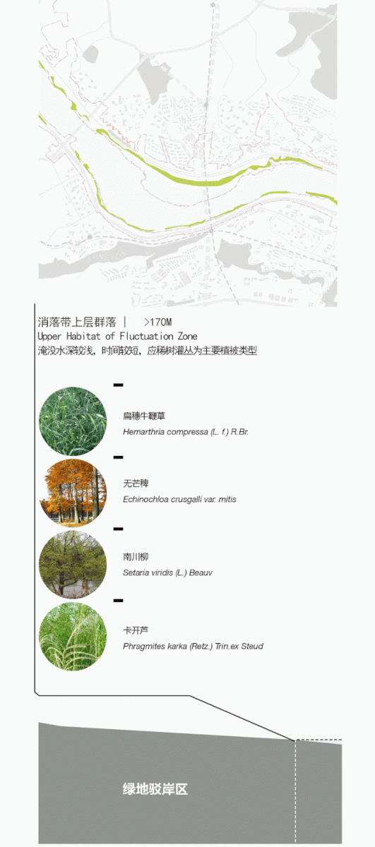 奧雅中標重慶“兩江四岸”國際競賽