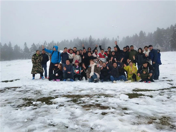 充滿希望的一年/羅漢園林2020年春季招聘