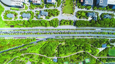 積極創建國家森林城市