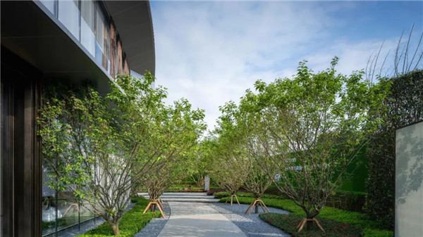 中梁棠城壹號院