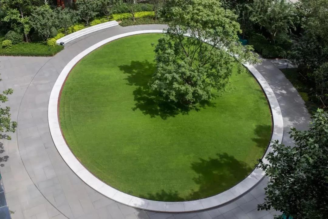 直播課預(yù)告：奧雅如何從平凡到卓越