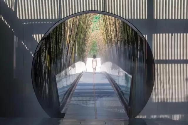 直播課預(yù)告：奧雅如何從平凡到卓越