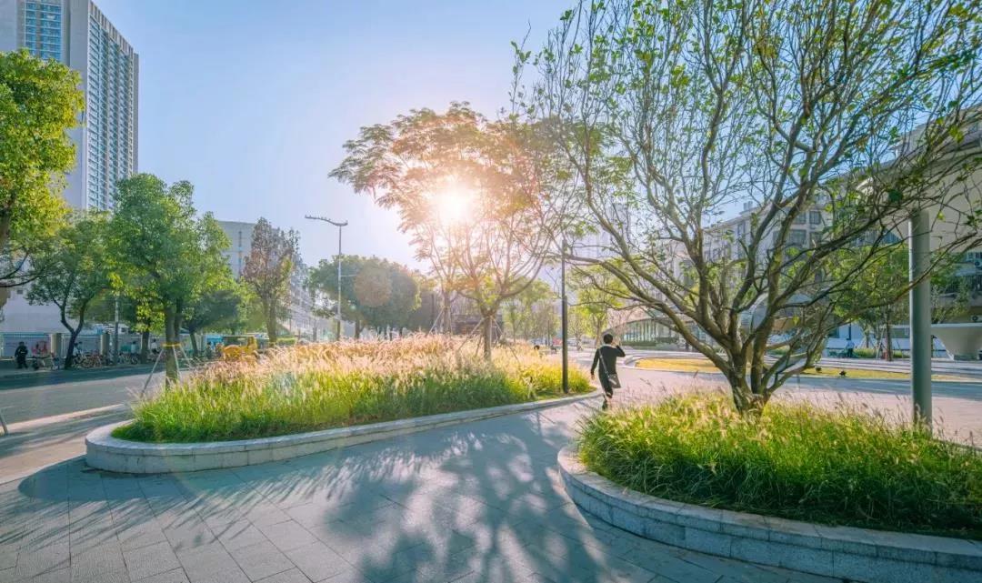 直播課預(yù)告：奧雅如何從平凡到卓越