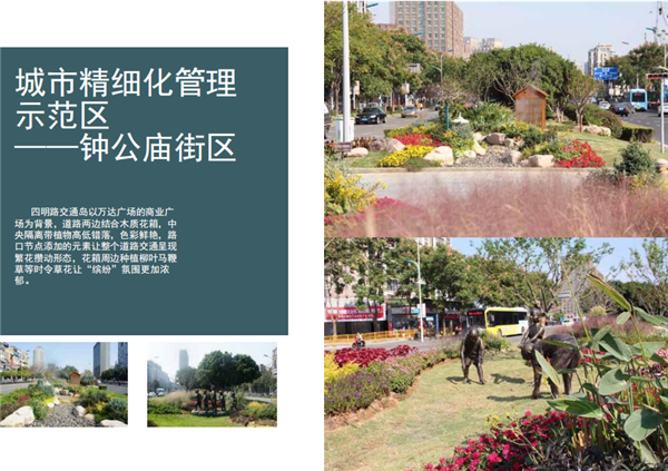 甬城定制——寧波城市微更新系列