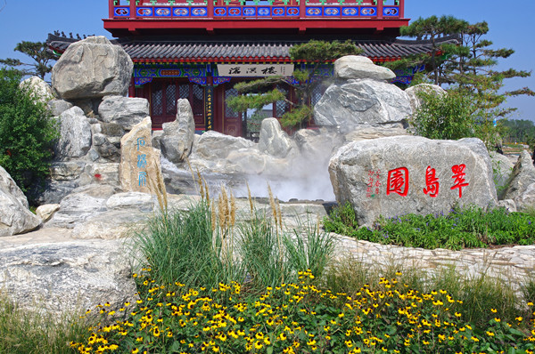 耿欣:競技場中的思考