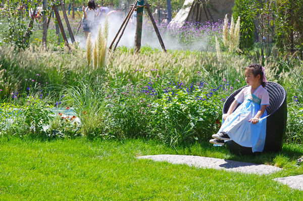 耿欣:競技場中的思考