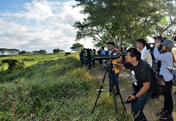 Sharon Perion:通過景觀干預(yù)進(jìn)行的坎達(dá)巴沼澤保護(hù)