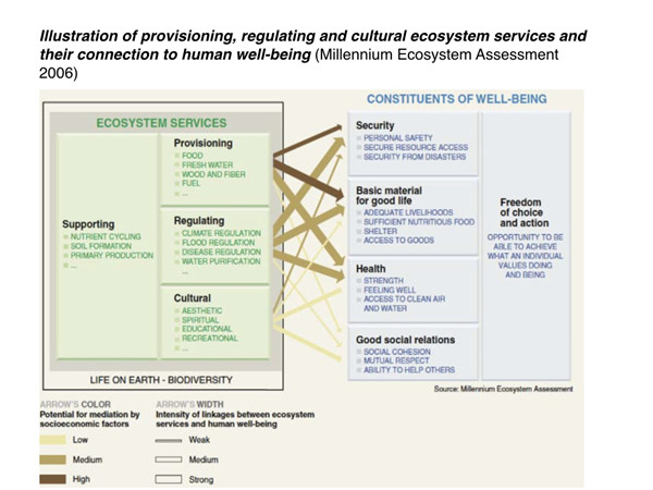 Sharon Perion:通過景觀干預(yù)進(jìn)行的坎達(dá)巴沼澤保護(hù)