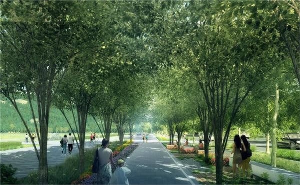 北京冬奧會規(guī)劃設計都有哪些亮點？