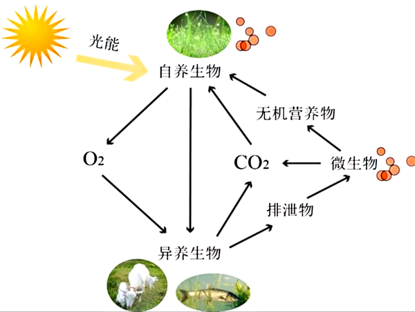水生態(tài)系統(tǒng)保護(hù)、修復(fù)、利用的思考與實(shí)踐