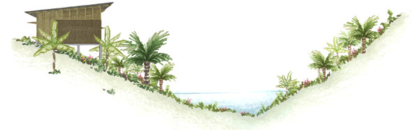 如何利用場(chǎng)地現(xiàn)有資源進(jìn)行系統(tǒng)建造