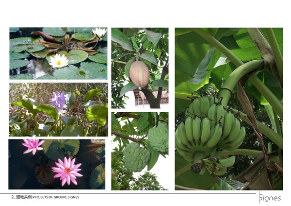 Emmanuel Pouille:濕地的生態系統以及治理對策