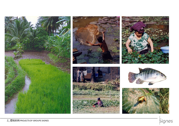 Emmanuel Pouille:濕地的生態系統以及治理對策