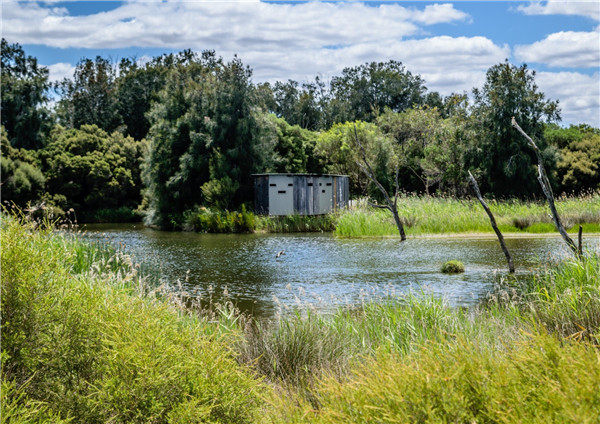 Emmanuel Pouille:濕地的生態系統以及治理對策