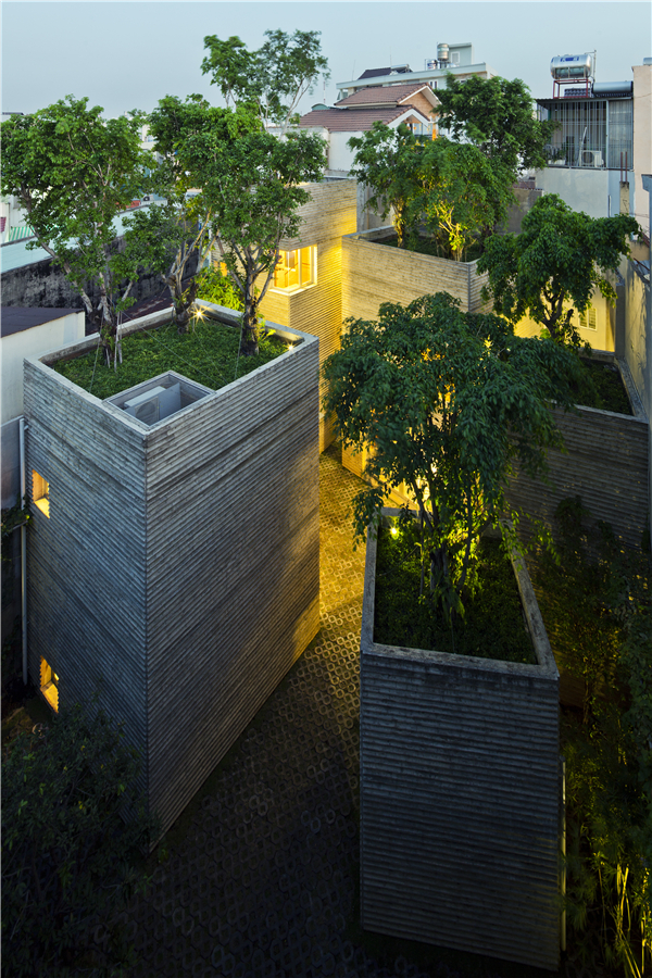 House for Trees:綠色建筑新模式