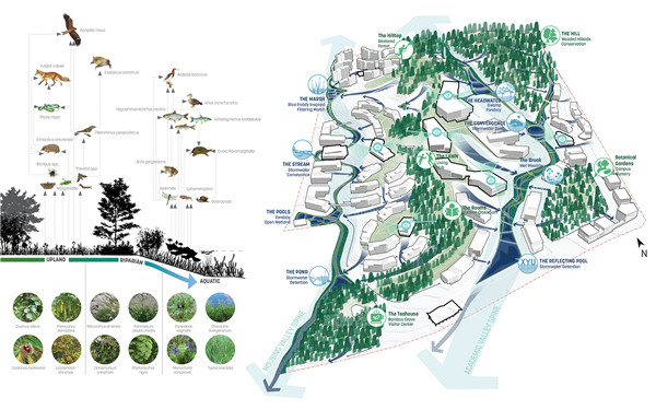 信陽學院南灣校區校園規劃