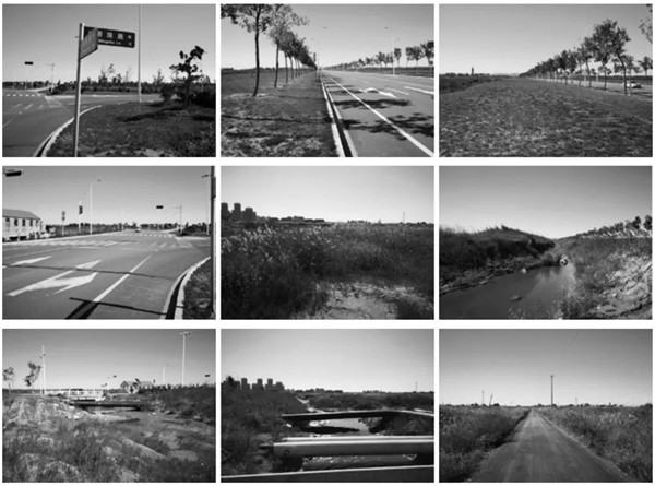 回歸初心,因“和”而來——南海·雁歸來