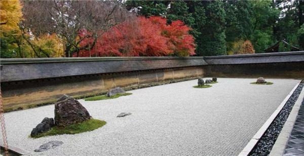 回歸初心,因“和”而來——南海·雁歸來