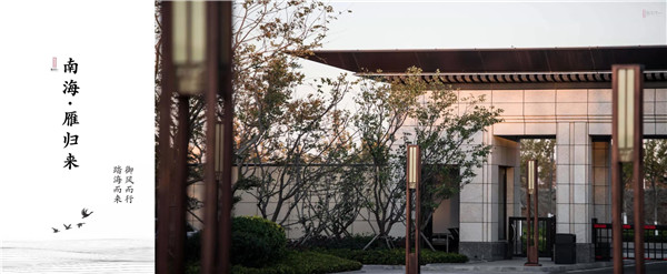 回歸初心,因“和”而來——南海·雁歸來