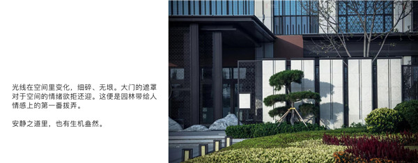 回歸初心,因“和”而來——南海·雁歸來