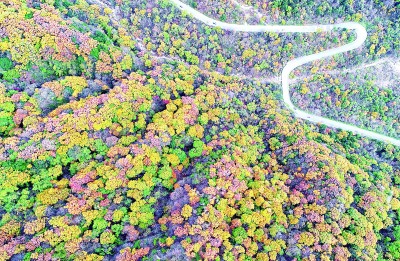 楊銳:在秦巴山脈構建國家公園