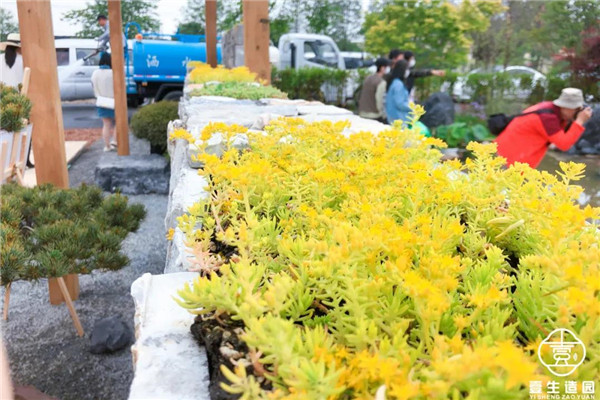 壹生造園丨春和小庭