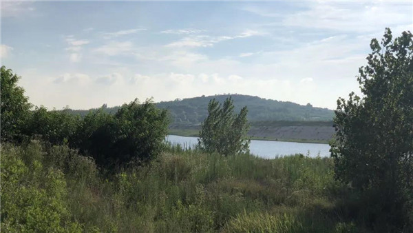 青島桃李春風(fēng)生活體驗(yàn)區(qū)