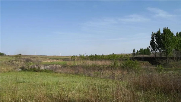 青島桃李春風(fēng)生活體驗(yàn)區(qū)