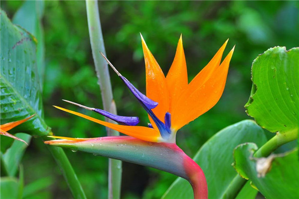 口袋公園雖小，卻能顯出設計的大智慧