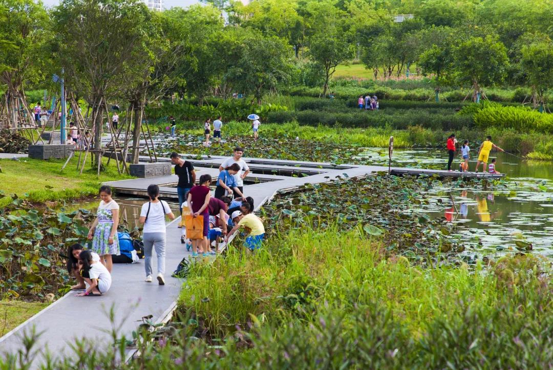 俞孔堅：城市兒童需要怎樣的樂園？