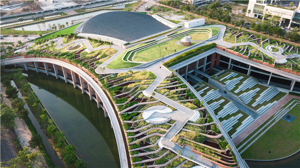 泰國國立法政大學(xué)城市屋頂農(nóng)場