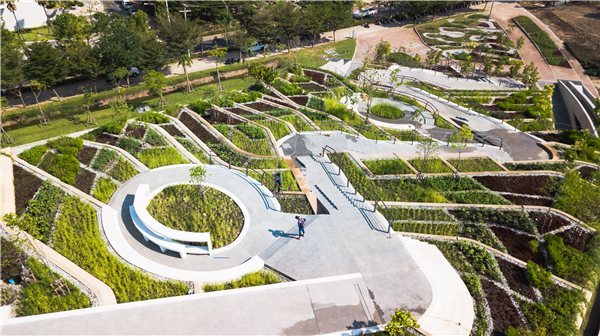 泰國國立法政大學(xué)城市屋頂農(nóng)場