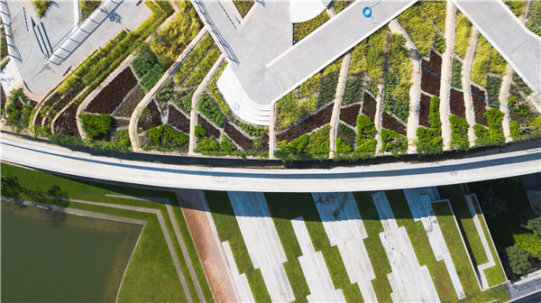 泰國國立法政大學(xué)城市屋頂農(nóng)場