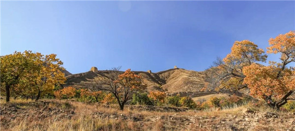馮瀟:《一次超大尺度風(fēng)景園林實(shí)踐》