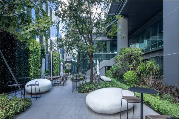 直播課:SED新西林帶你突破景觀邊界