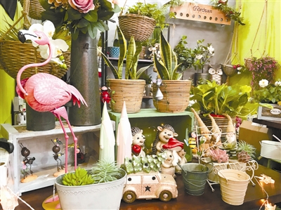 花卉園藝借助線上力量未必能“躺贏”