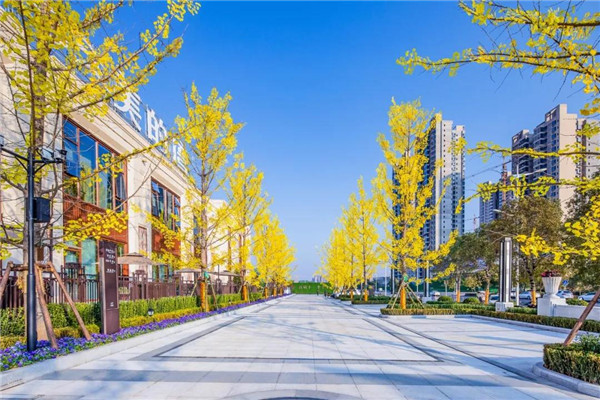 直播預告丨杰弗瑞的景觀·觀