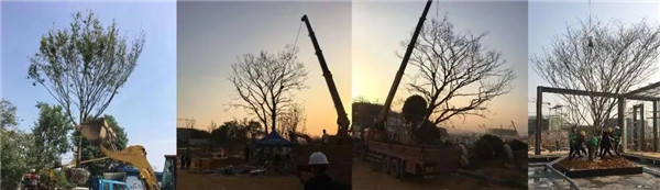 南昌金地金茂正榮悅風(fēng)華示范區(qū)