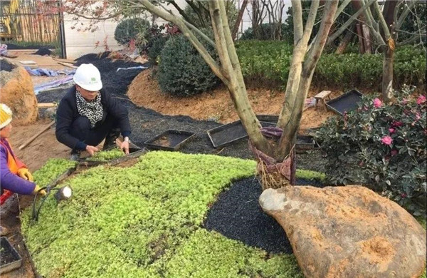 南昌金地金茂正榮悅風(fēng)華示范區(qū)