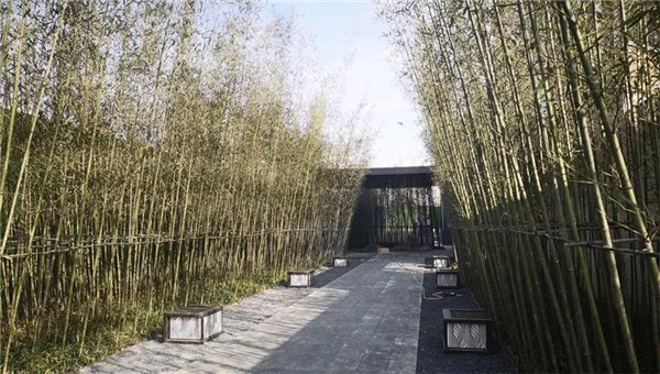 南昌金地金茂正榮悅風(fēng)華示范區(qū)