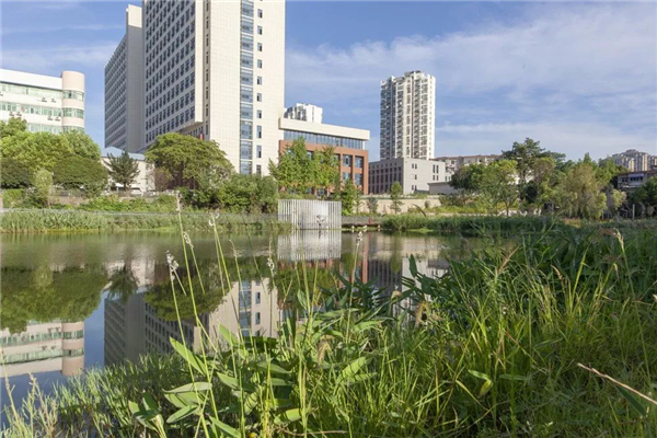 化腐朽為生機 | 一段老城區護城河遺跡的景觀與海綿化改造