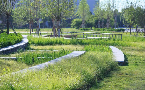 阿普貝斯丨遷安海綿城市建設成果